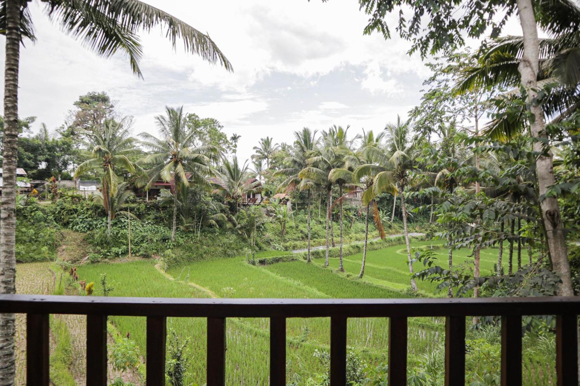 Nea Cottage Lombok เตเตบาตู ภายนอก รูปภาพ