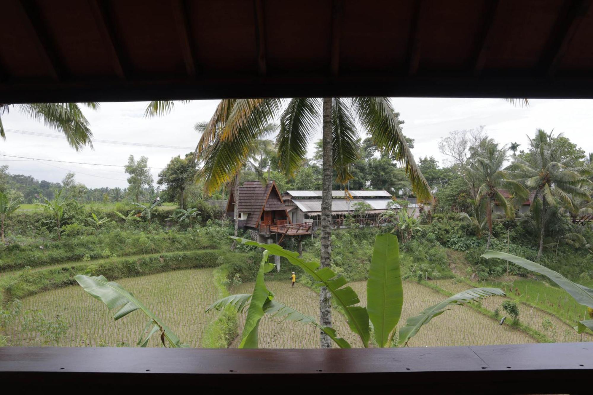 Nea Cottage Lombok เตเตบาตู ภายนอก รูปภาพ