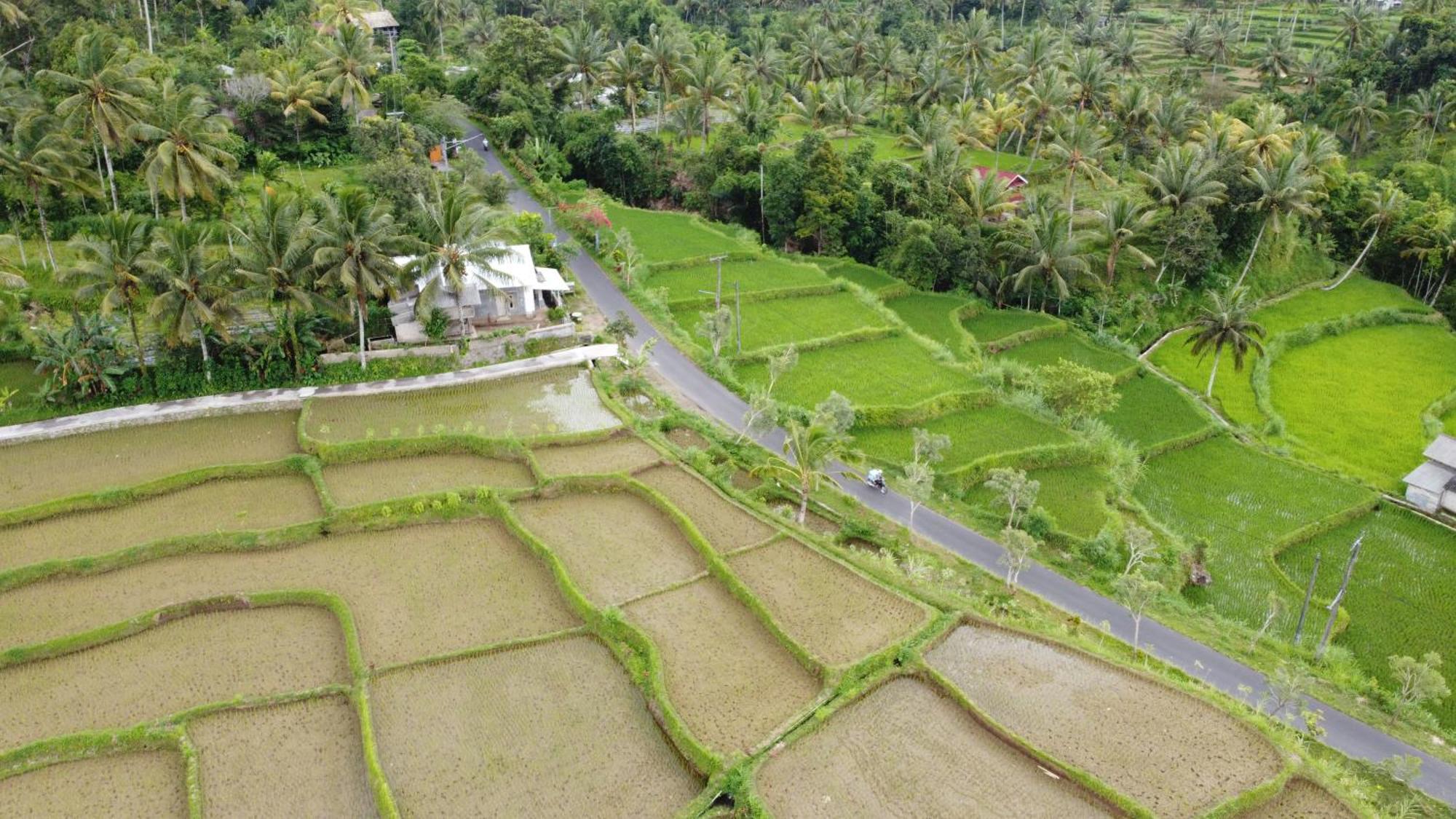 Nea Cottage Lombok เตเตบาตู ภายนอก รูปภาพ