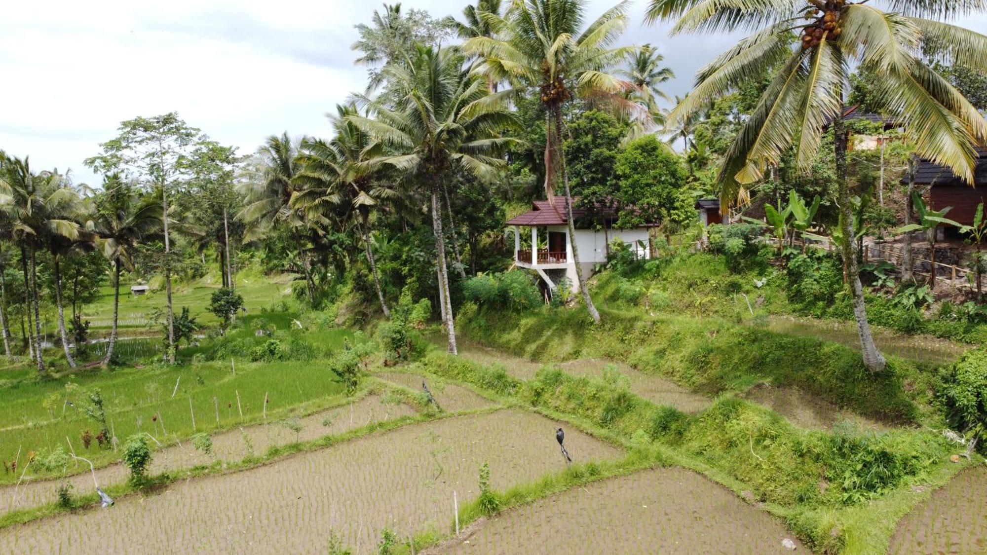 Nea Cottage Lombok เตเตบาตู ภายนอก รูปภาพ