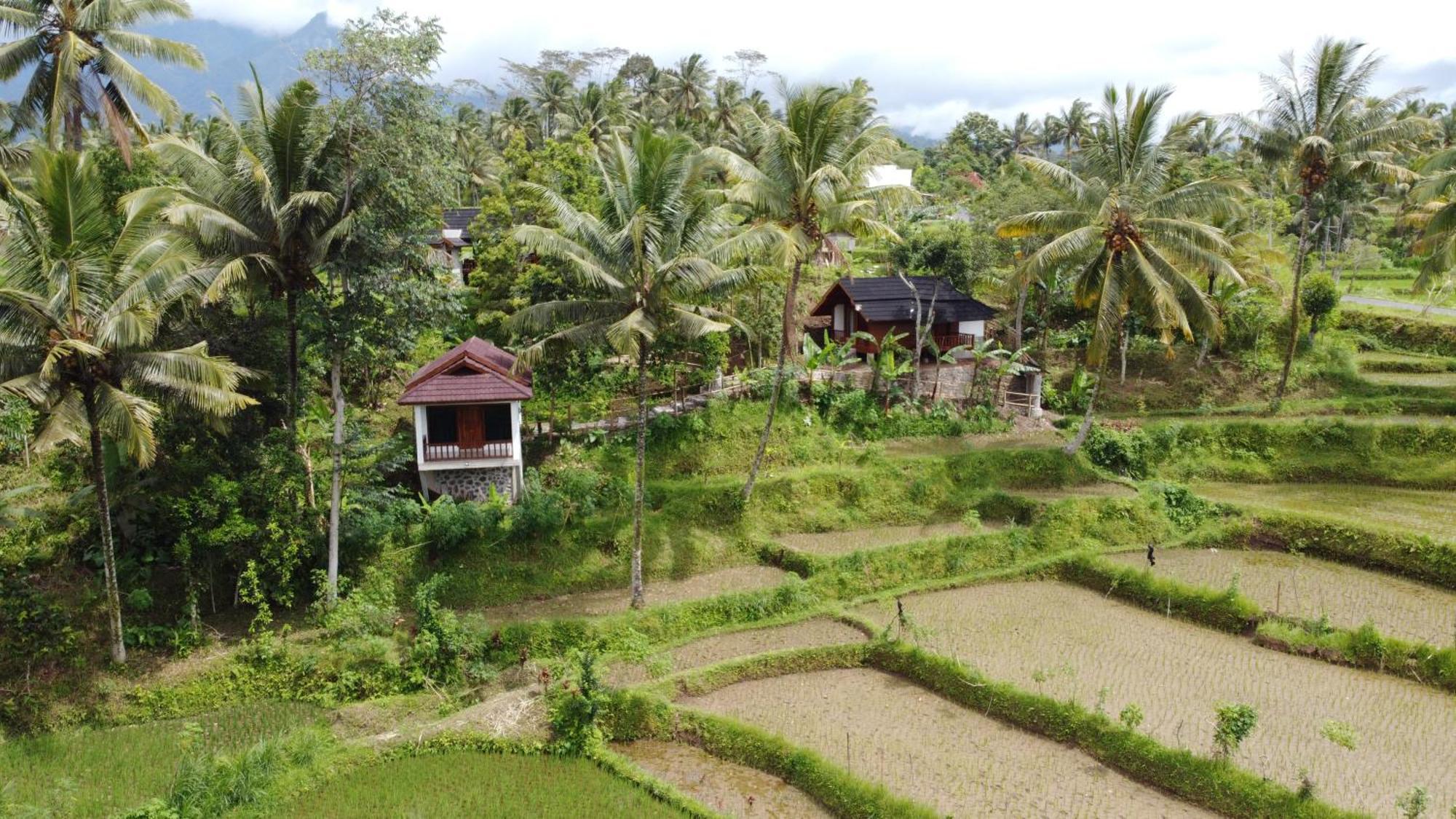 Nea Cottage Lombok เตเตบาตู ภายนอก รูปภาพ