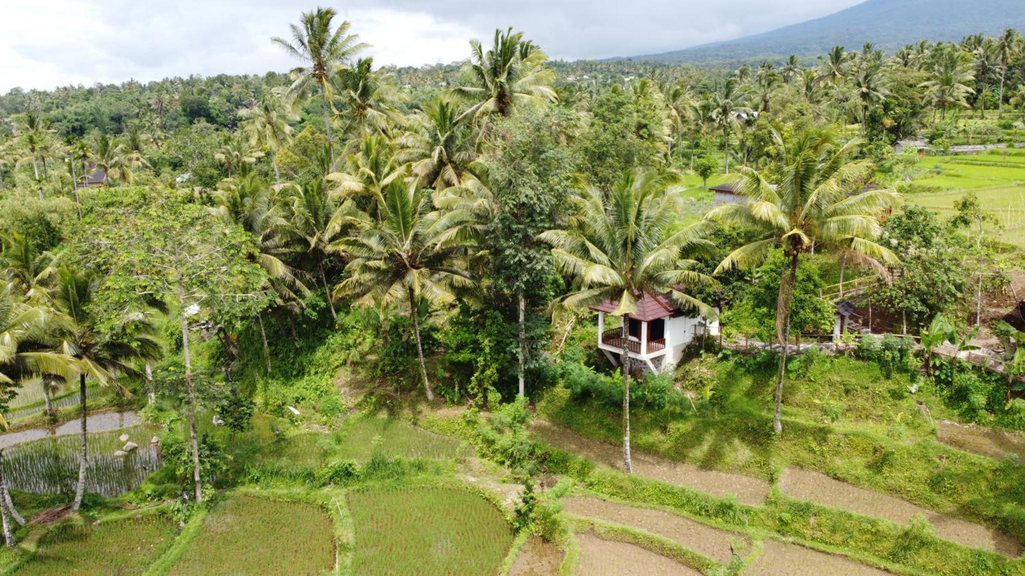 Nea Cottage Lombok เตเตบาตู ภายนอก รูปภาพ