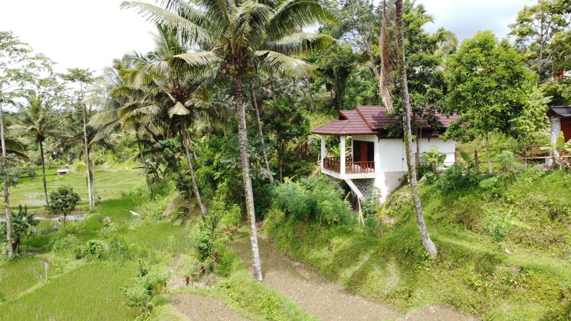 Nea Cottage Lombok เตเตบาตู ภายนอก รูปภาพ