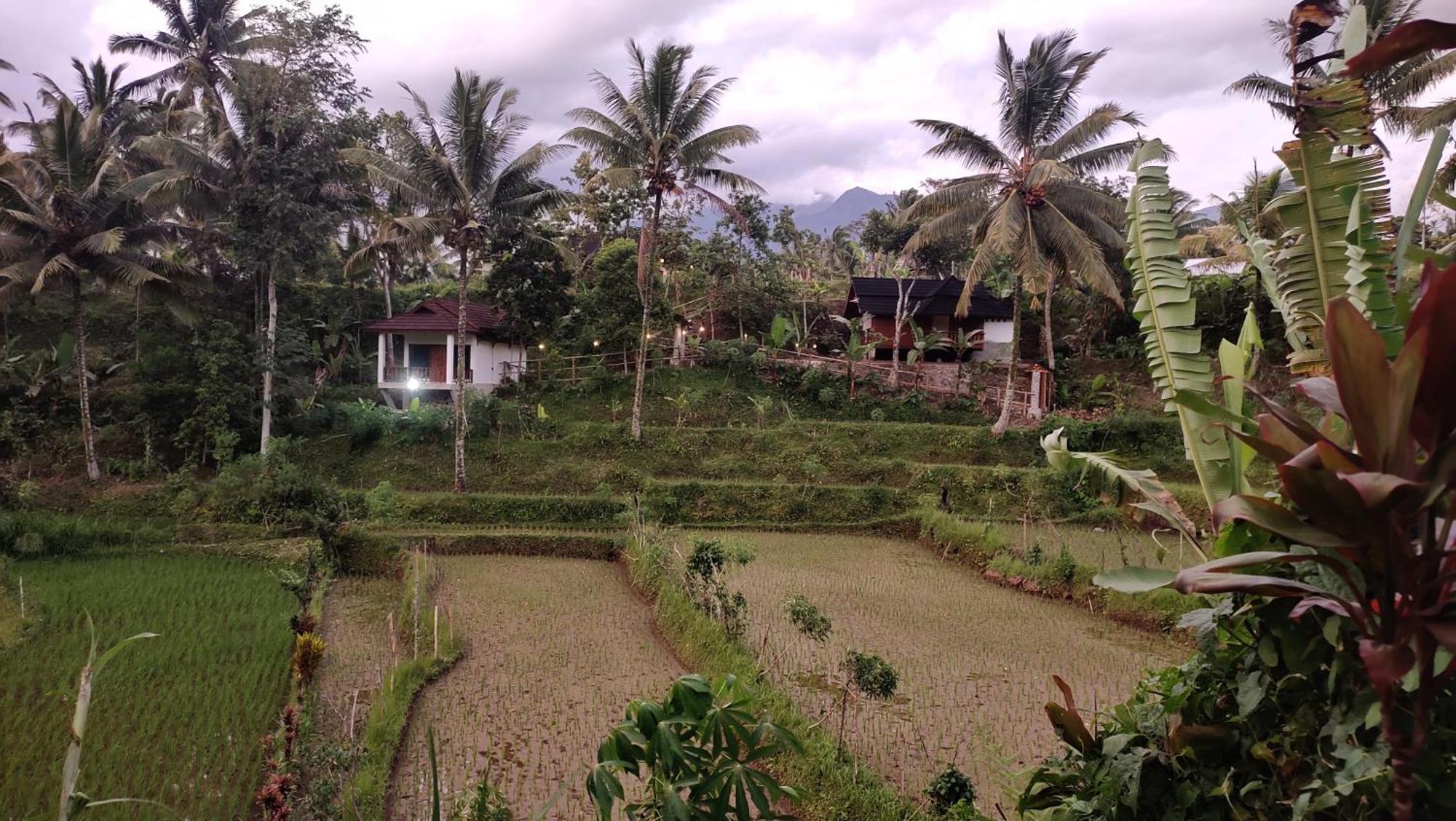 Nea Cottage Lombok เตเตบาตู ภายนอก รูปภาพ