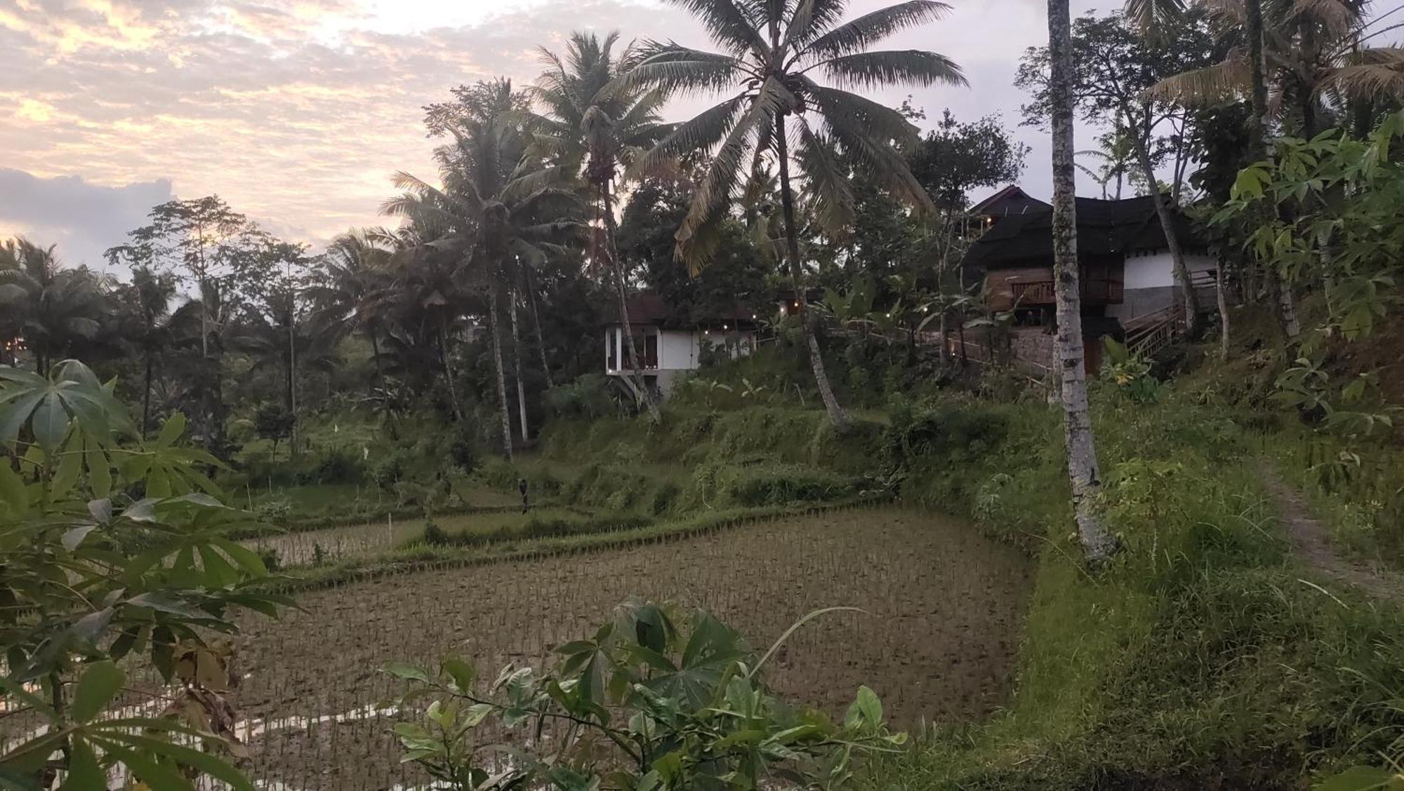 Nea Cottage Lombok เตเตบาตู ภายนอก รูปภาพ