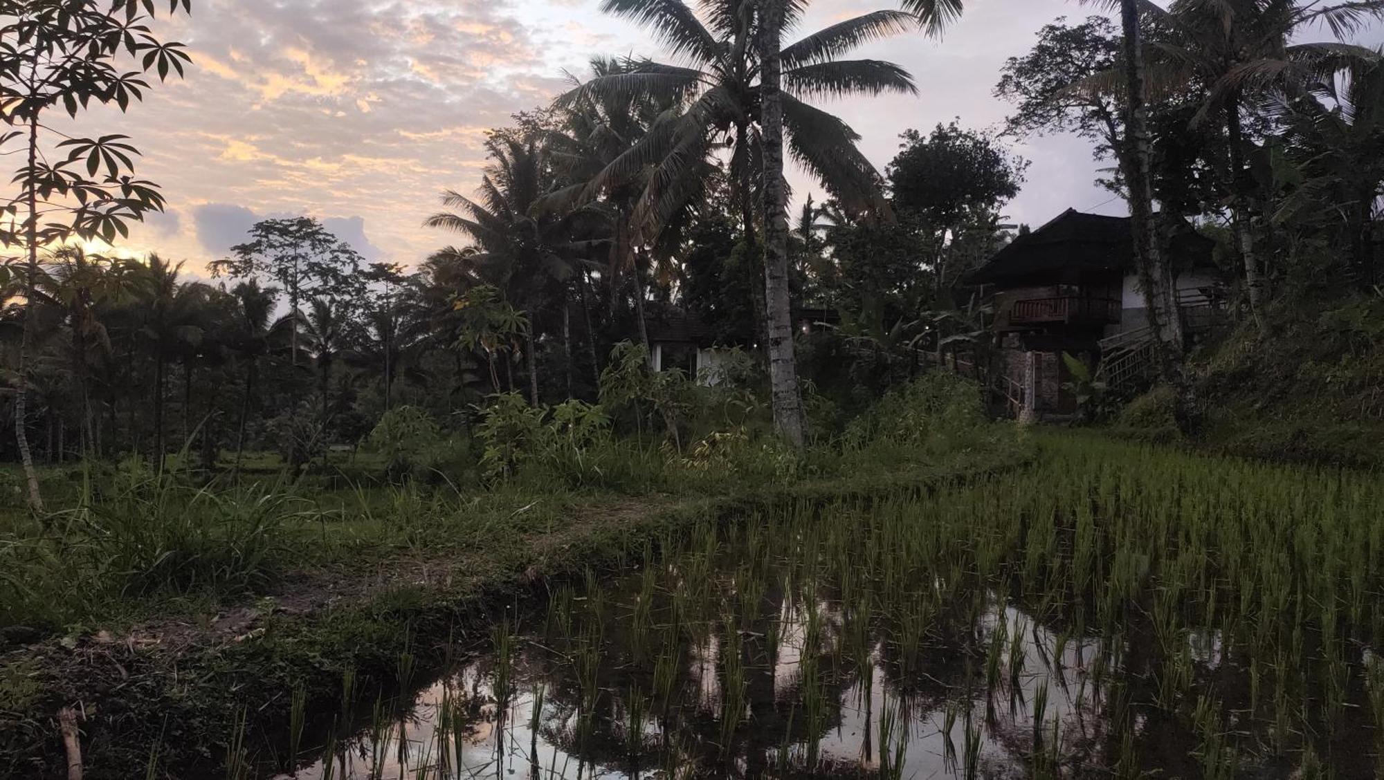 Nea Cottage Lombok เตเตบาตู ภายนอก รูปภาพ