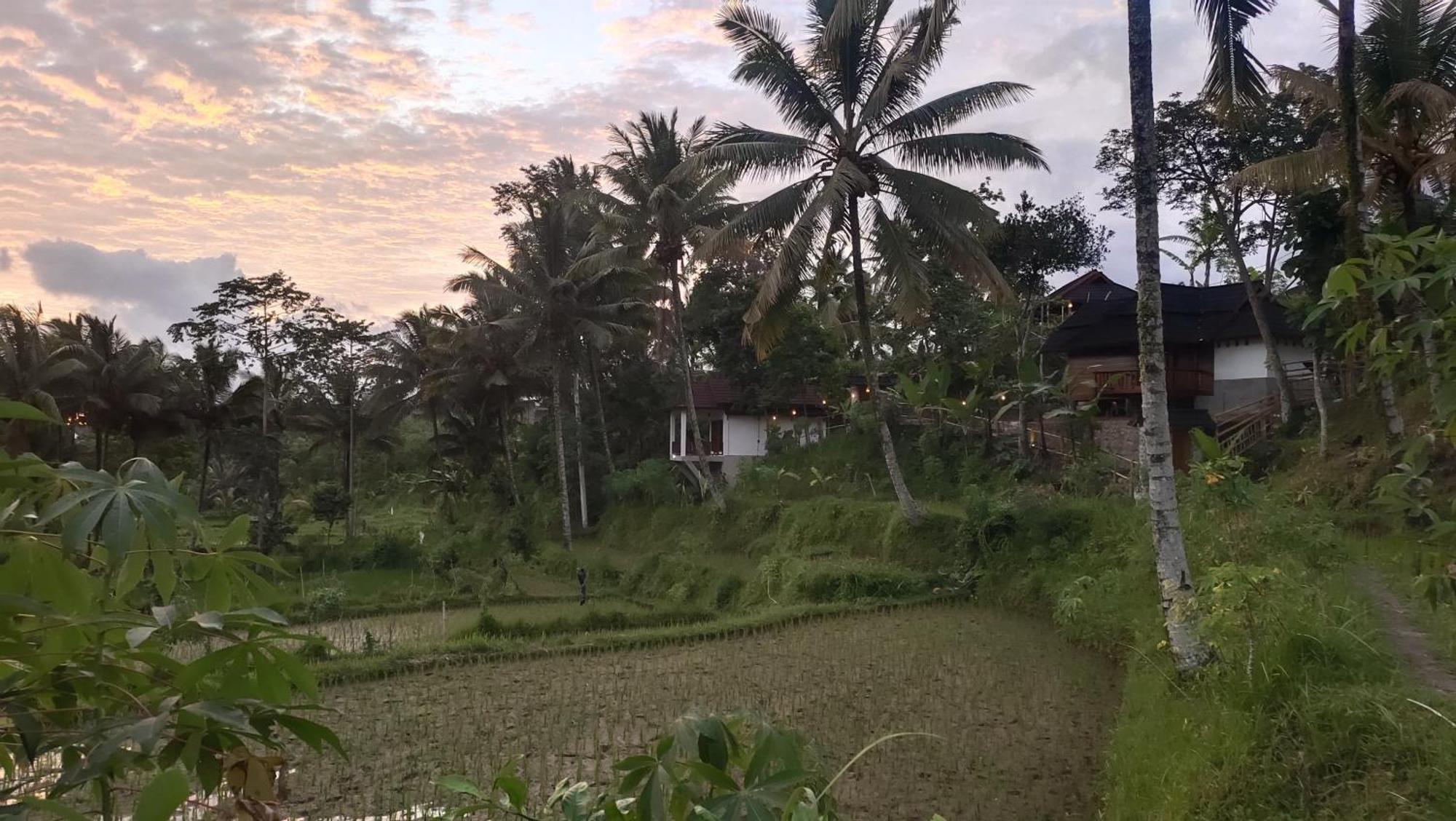 Nea Cottage Lombok เตเตบาตู ภายนอก รูปภาพ